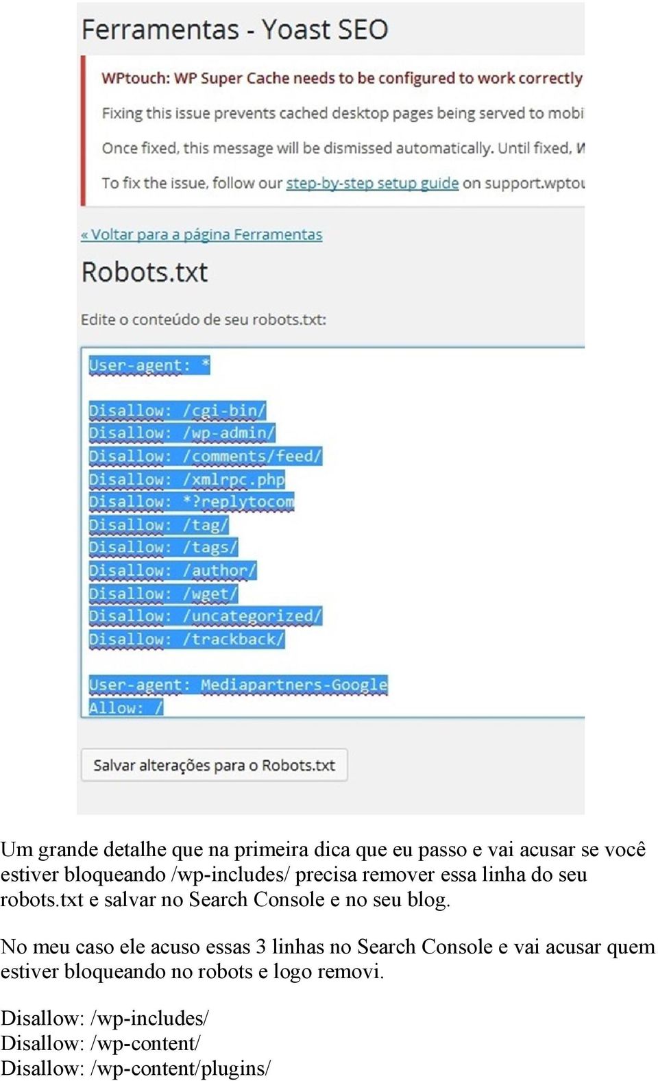 txt e salvar no Search Console e no seu blog.