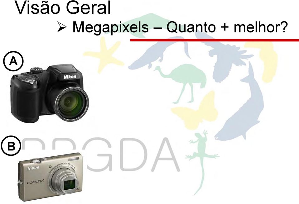 Megapixels