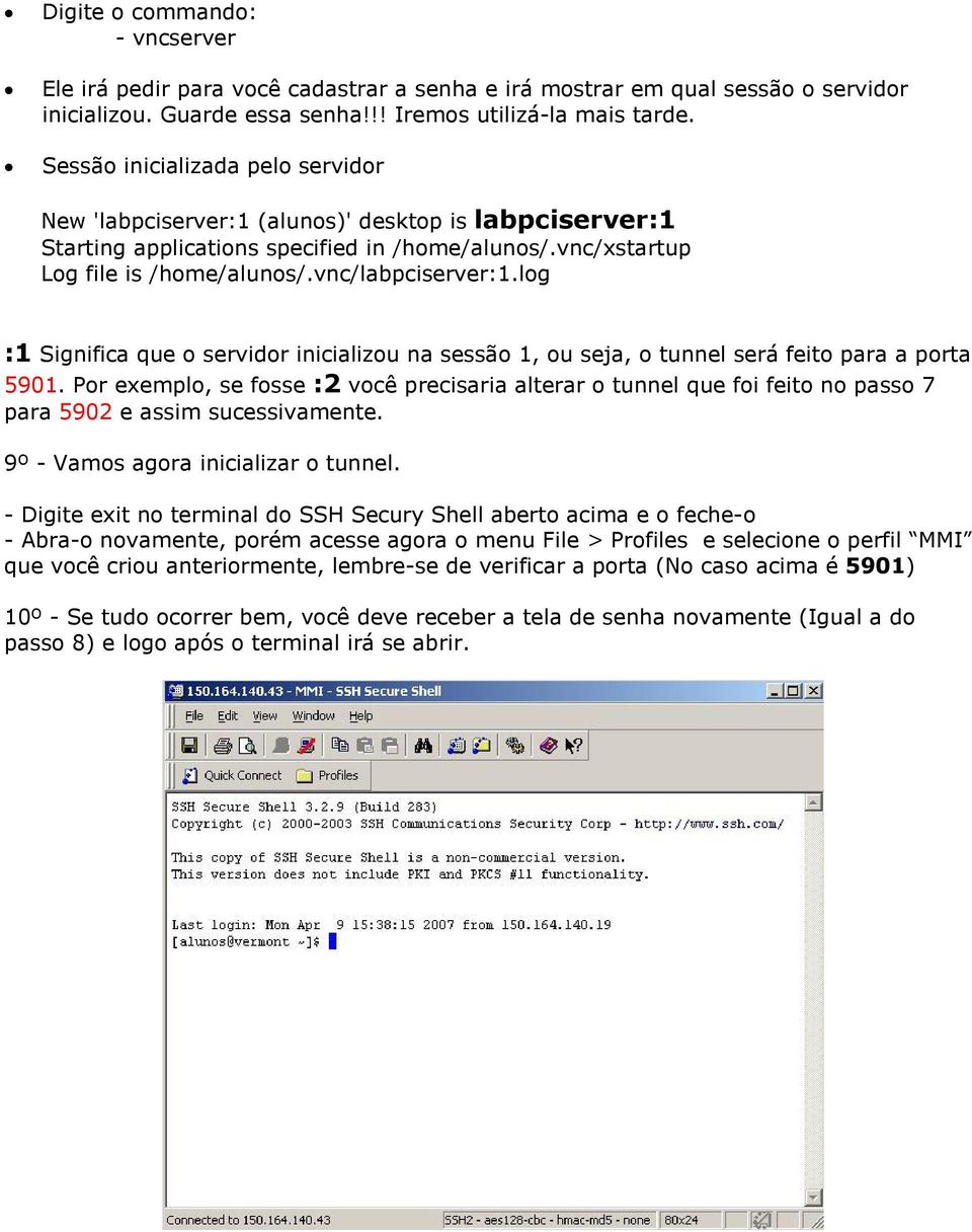 log :1 Significa que o servidor inicializou na sessão 1, ou seja, o tunnel será feito para a porta 5901.