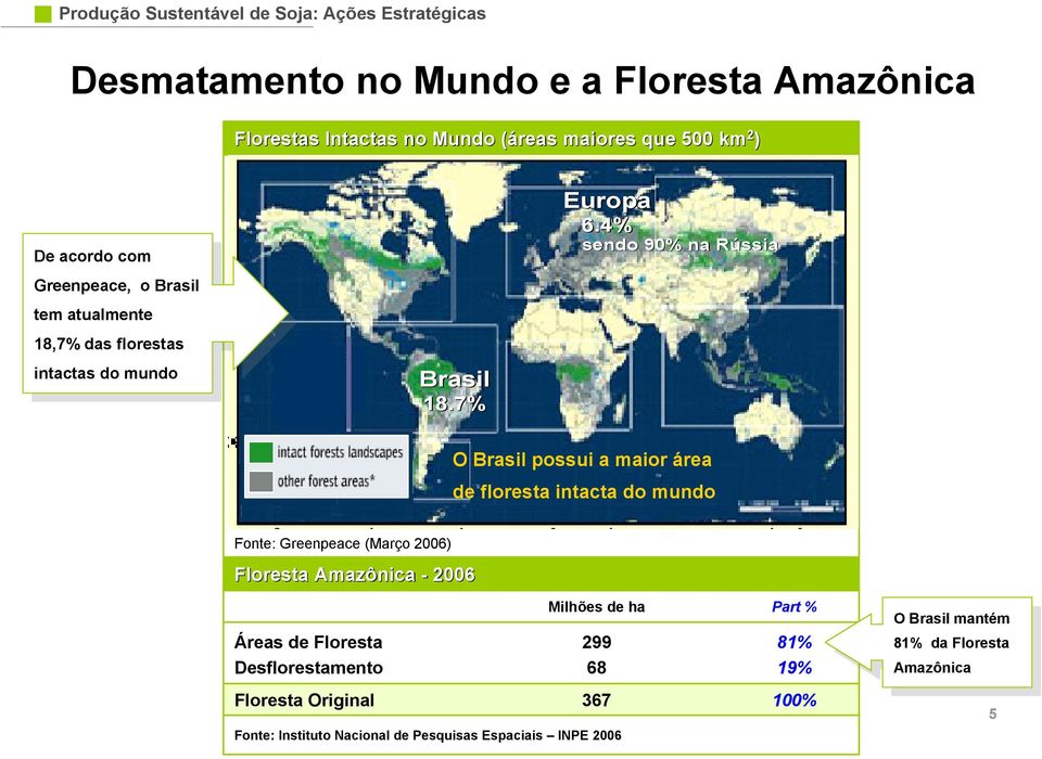 4% sendo 90% na Rússia R O Brasil possui a maior área de floresta intacta do mundo Fonte: Greenpeace (Março 2006) Floresta Amazônica - 2006 Áreas de Floresta Desflorestamento