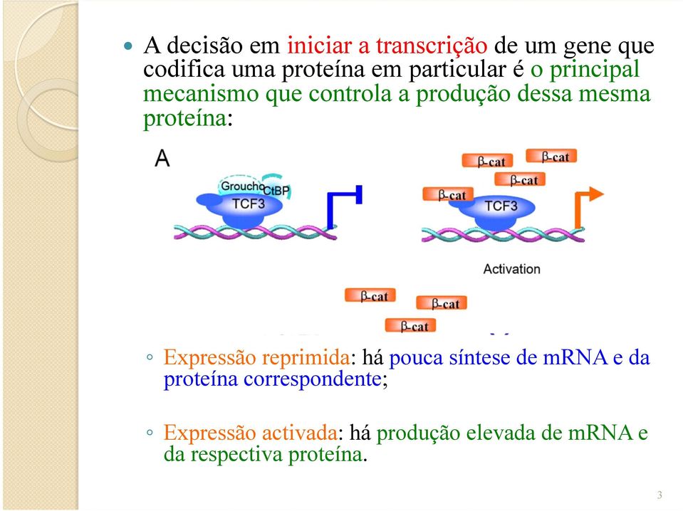 proteína: Expressão reprimida: há pouca síntese de mrna e da proteína