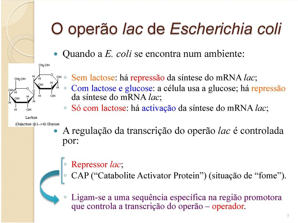 glucose; há repressão da síntese do mrna lac; Só com lactose: há activação da síntese do mrna lac; A regulação da