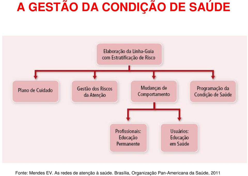 As redes de atenção à saúde.