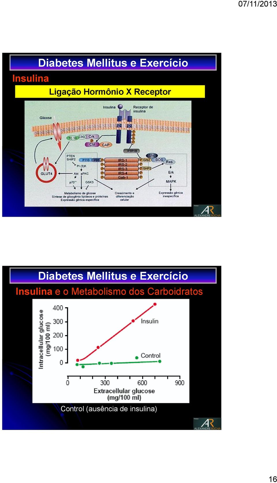 Metabolismo dos