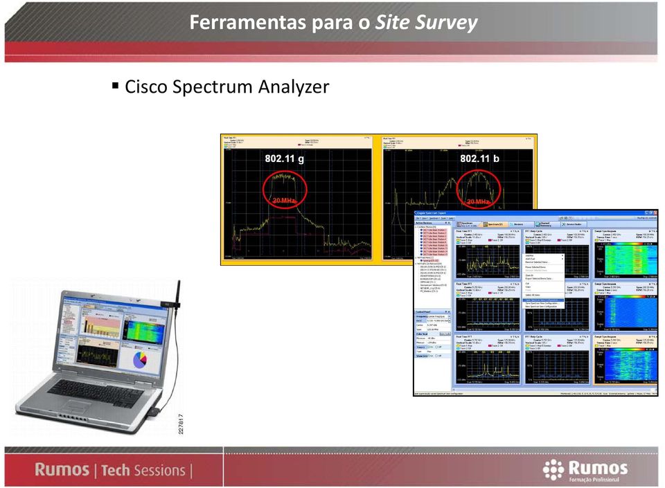 Survey Cisco