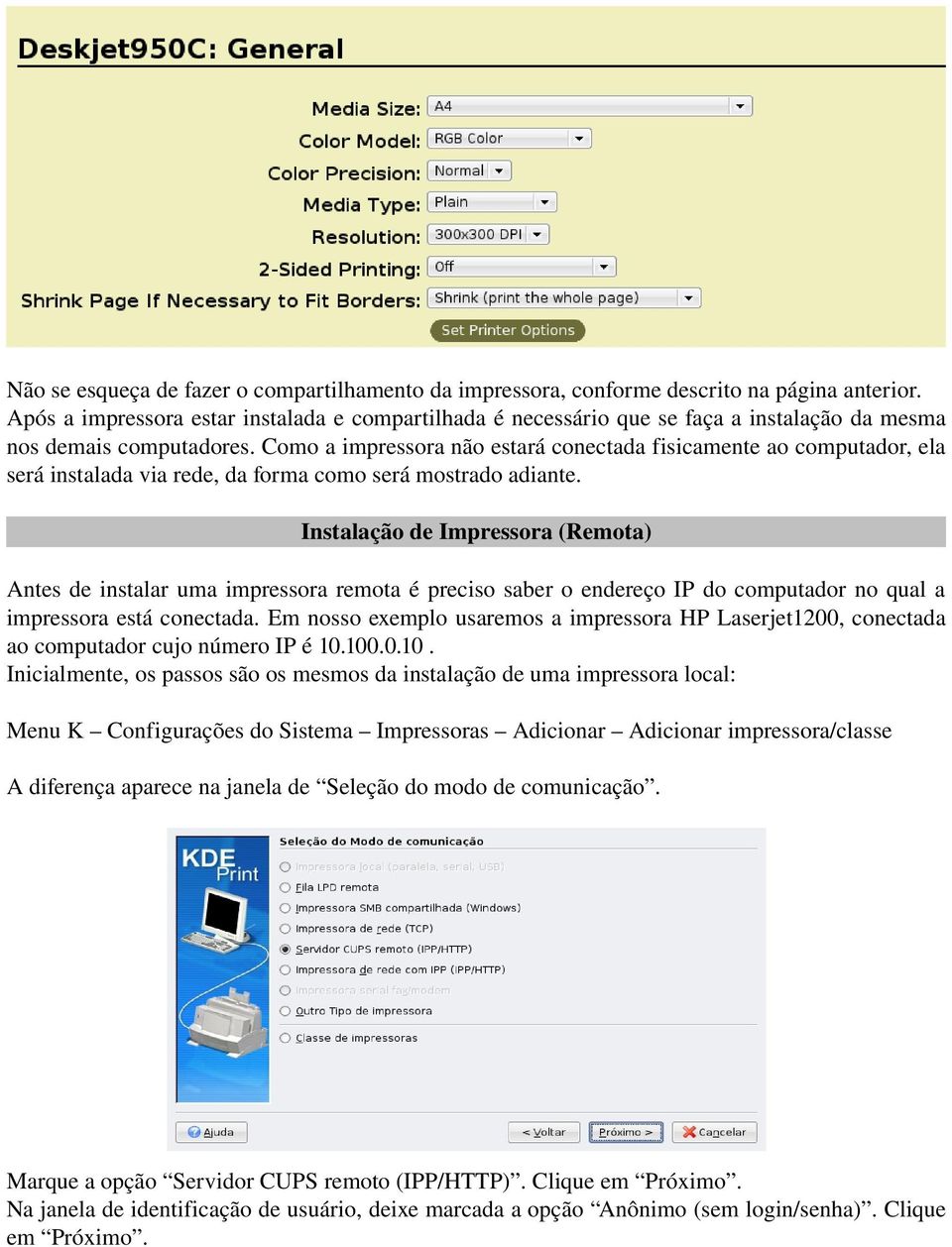 Como a impressora não estará conectada fisicamente ao computador, ela será instalada via rede, da forma como será mostrado adiante.