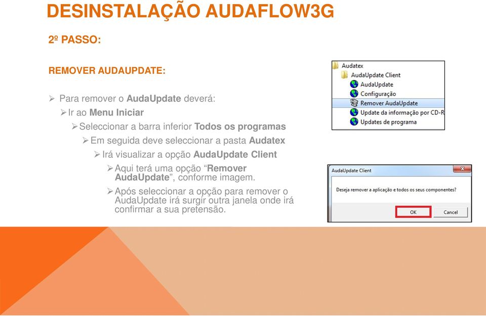 Irá visualizar a opção AudaUpdate Client Aqui terá uma opção Remover AudaUpdate, conforme imagem.