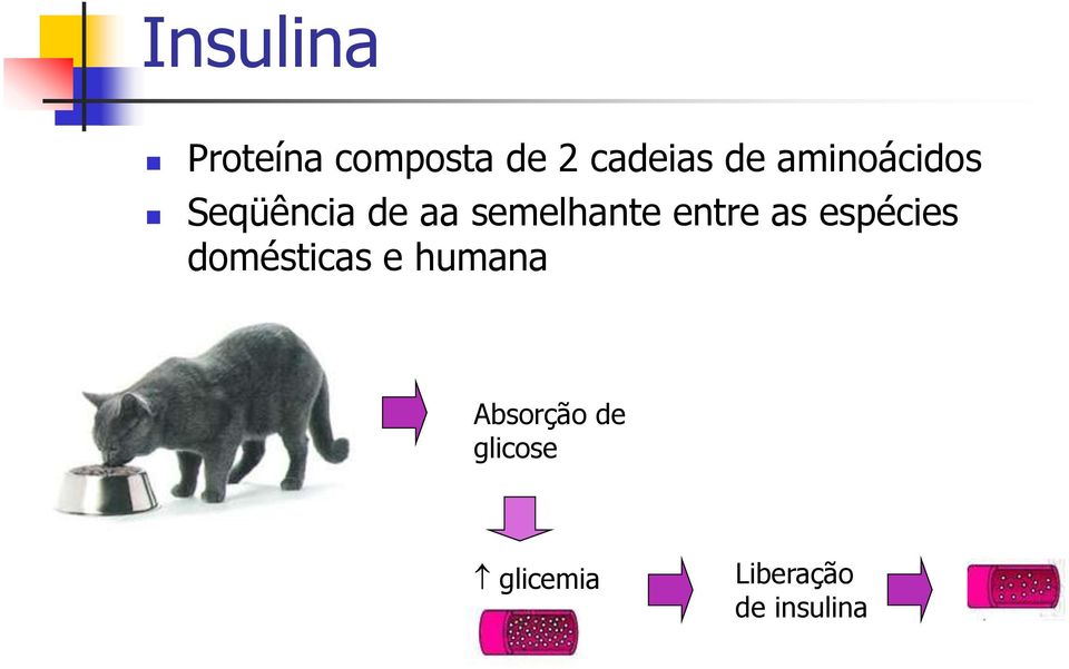 entre as espécies domésticas e humana