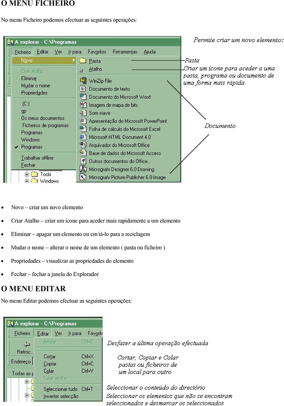 reciclagem Mudar o nome alterar o nome de um elemento ( pasta ou ficheiro ) Propriedades visualizar as