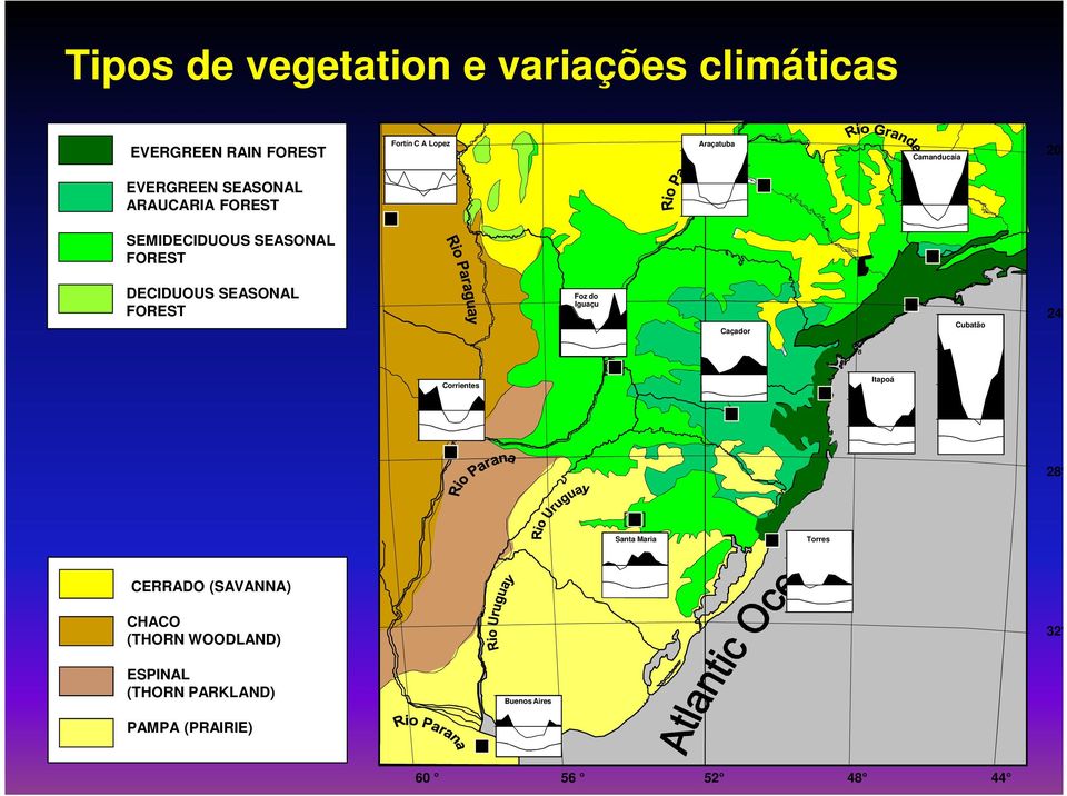 SEASONAL FOREST Foz do Iguaçu Caçador Cubatão 24 Corrientes Itapoá 28 Santa Maria Torres