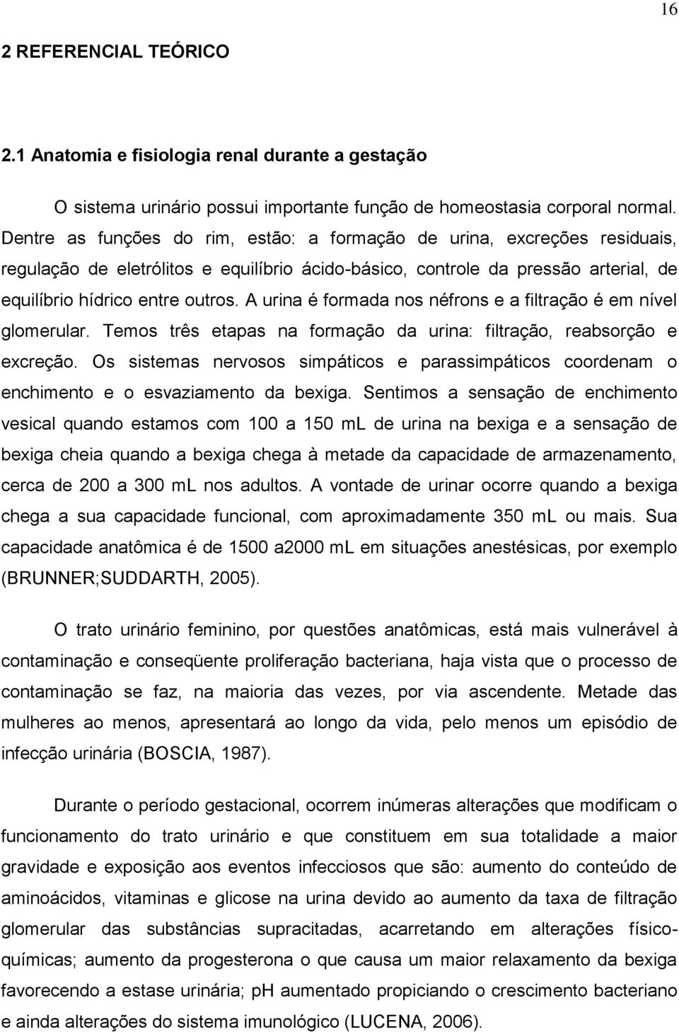 A urina é formada nos néfrons e a filtração é em nível glomerular. Temos três etapas na formação da urina: filtração, reabsorção e excreção.