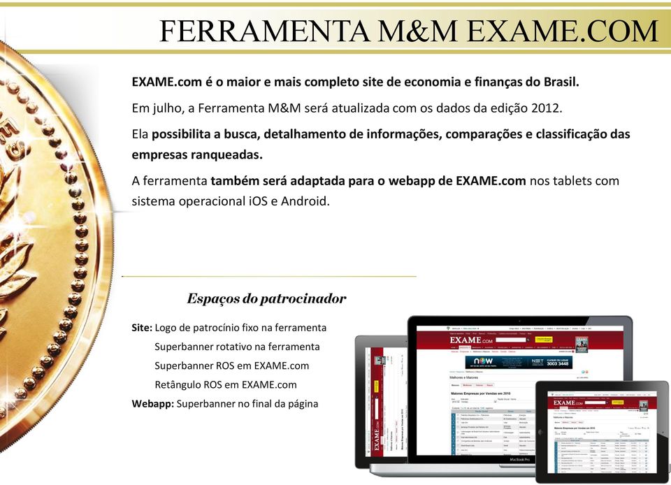 Ela possibilita a busca, detalhamento de informações, comparações e classificação das empresas ranqueadas.