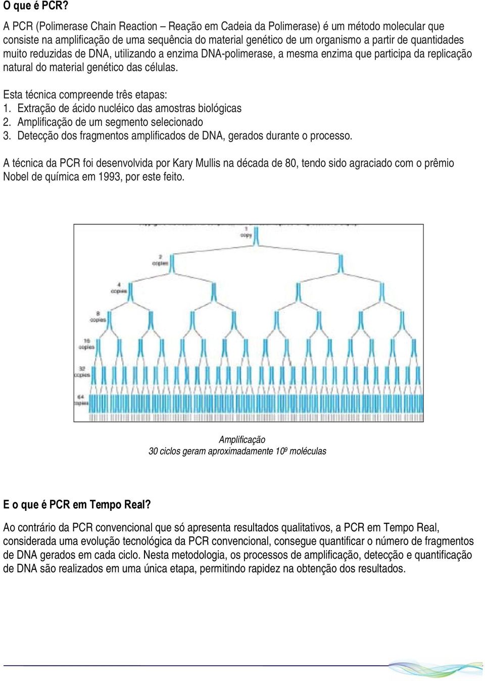 reduzidas de DNA, utilizando a enzima DNA-polimerase, a mesma enzima que participa da replicação natural do material genético das células. Esta técnica compreende três etapas: 1.