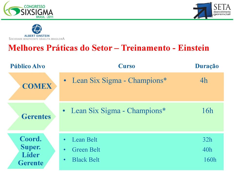 Champions* 4h Gerentes Lean Six Sigma - Champions* 16h