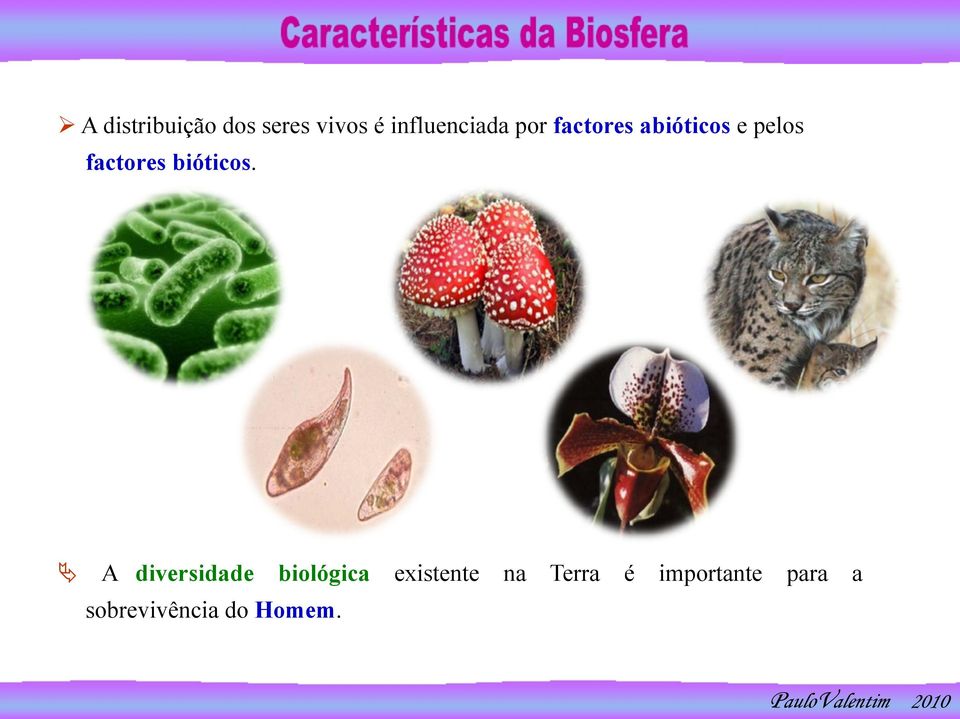 factores bióticos.