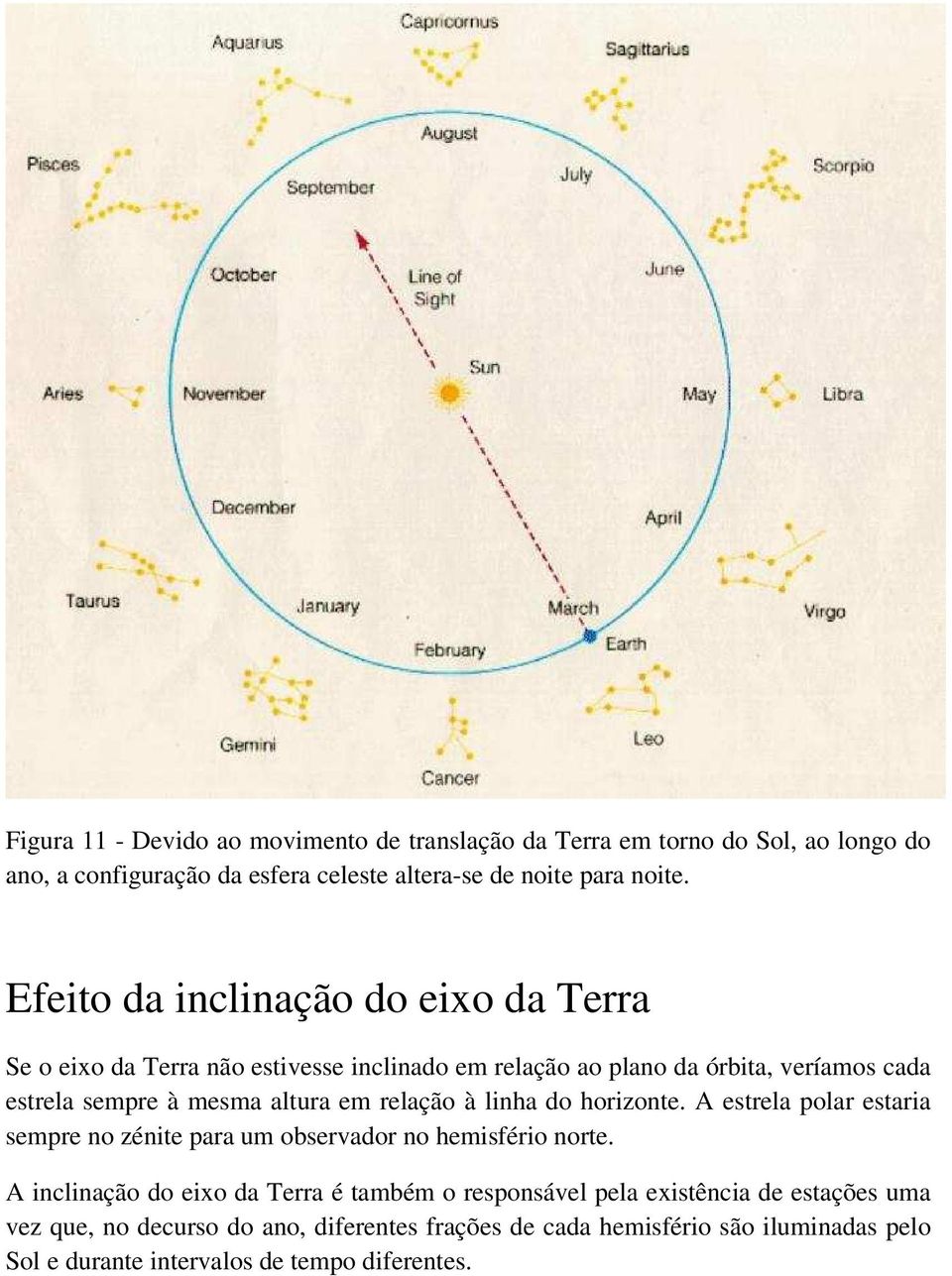 relação à linha do horizonte. A estrela polar estaria sempre no zénite para um observador no hemisfério norte.