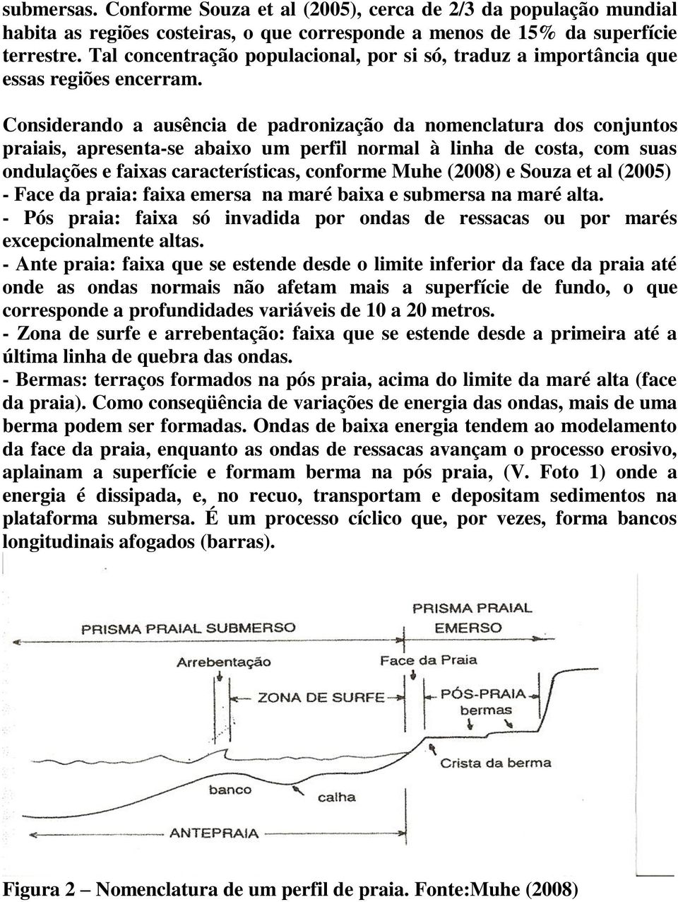 Considerando a ausência de padronização da nomenclatura dos conjuntos praiais, apresenta-se abaixo um perfil normal à linha de costa, com suas ondulações e faixas características, conforme Muhe