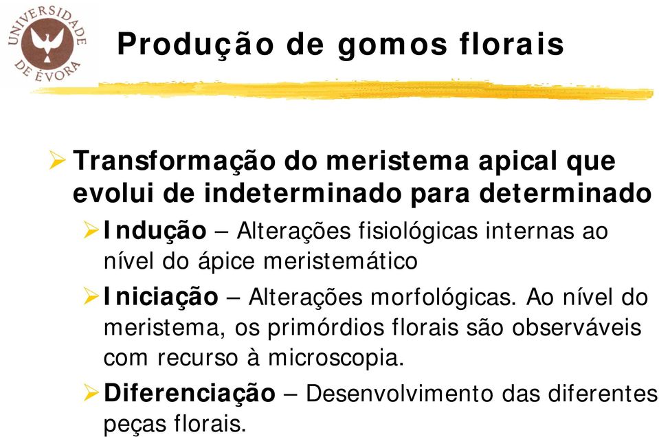 Iniciação Alterações morfológicas.