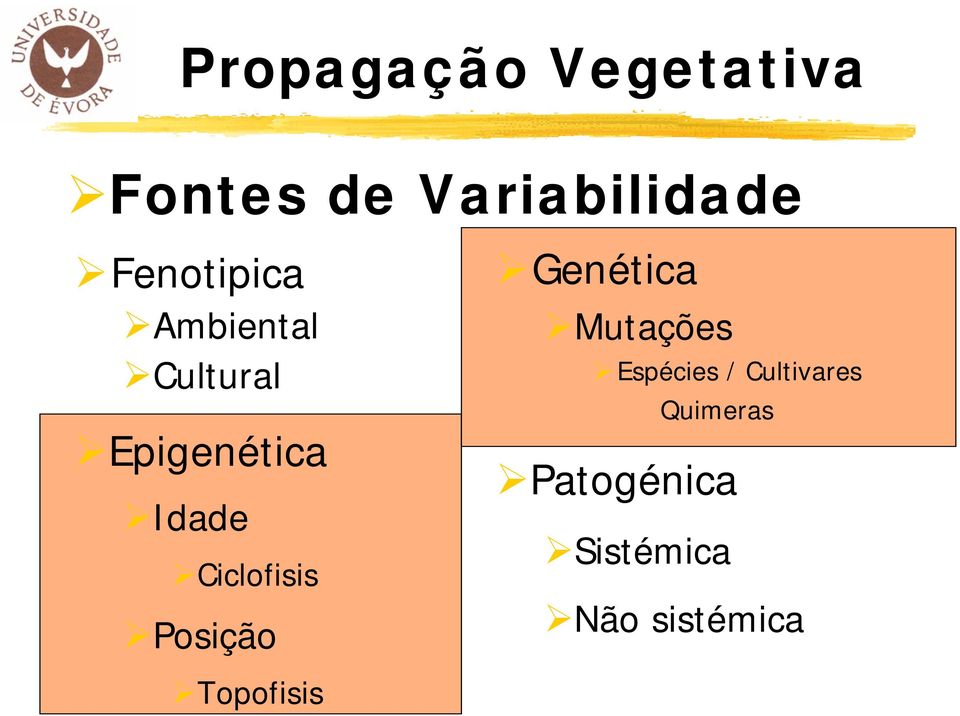 Ciclofisis Posição Genética Mutações Espécies /