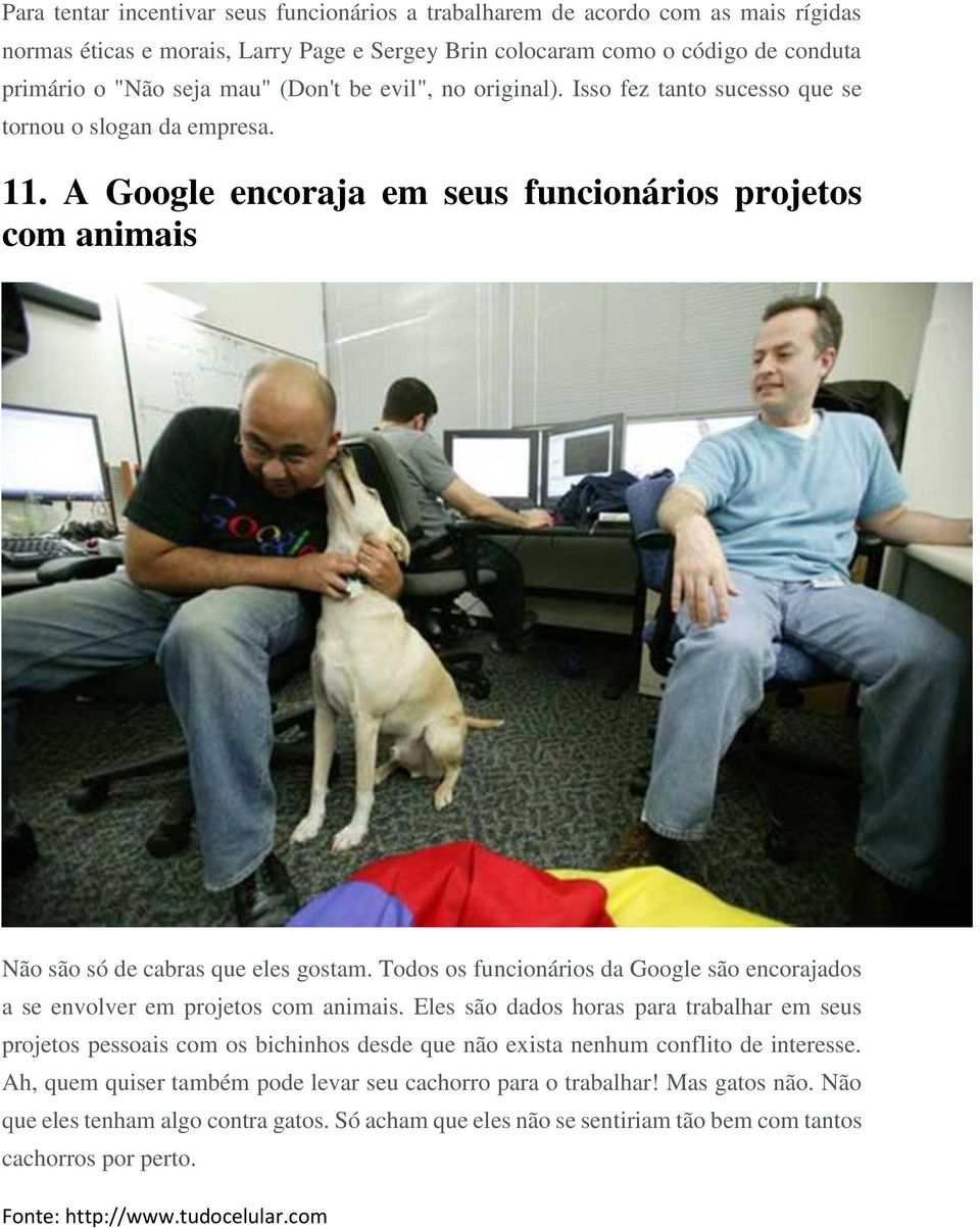 Todos os funcionários da Google são encorajados a se envolver em projetos com animais.