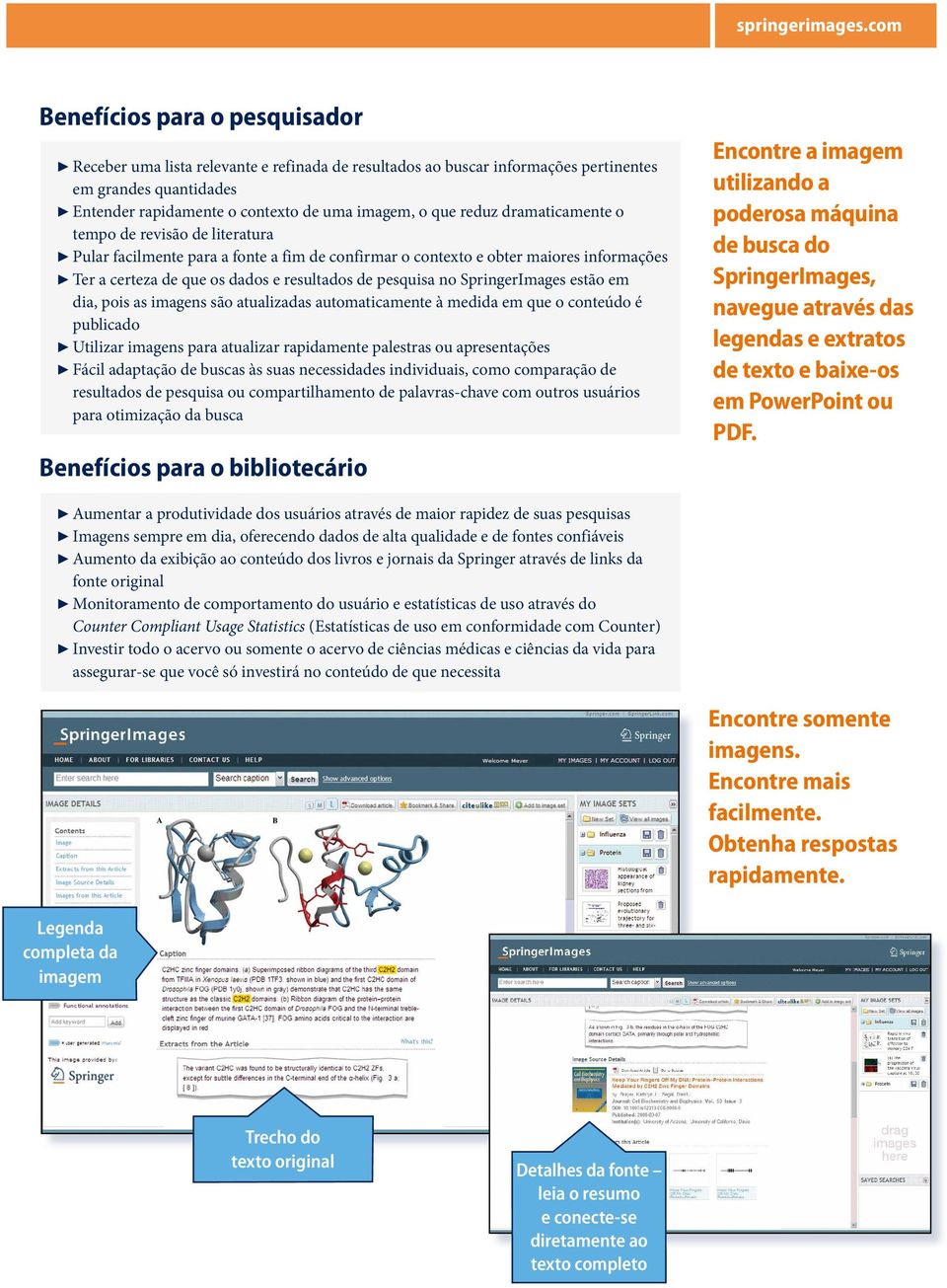 pesquisa no SpringerImages estão em dia, pois as imagens são atualizadas automaticamente à medida em que o conteúdo é publicado 7 Utilizar imagens para atualizar rapidamente palestras ou