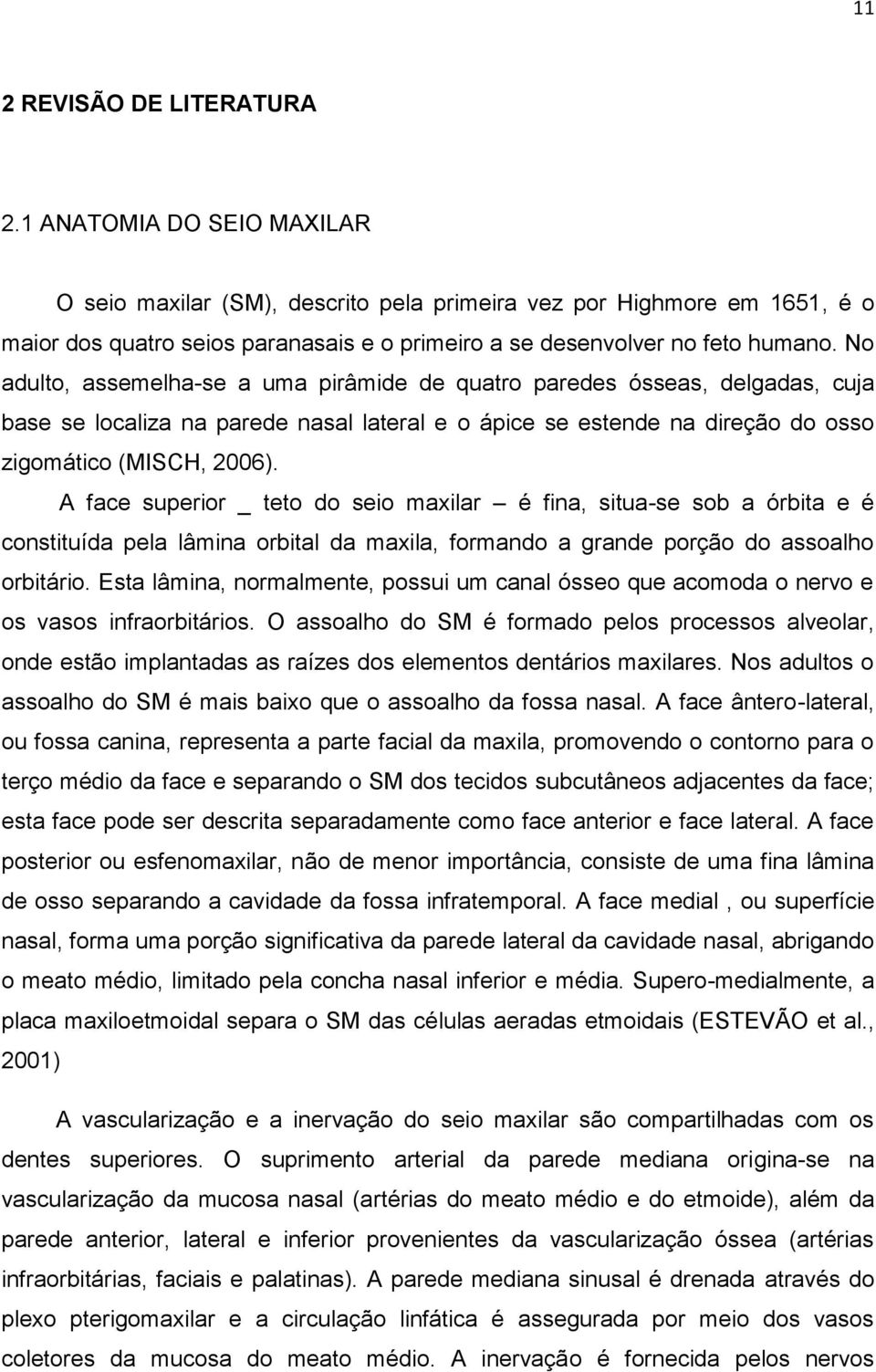 No adulto, assemelha-se a uma pirâmide de quatro paredes ósseas, delgadas, cuja base se localiza na parede nasal lateral e o ápice se estende na direção do osso zigomático (MISCH, 2006).