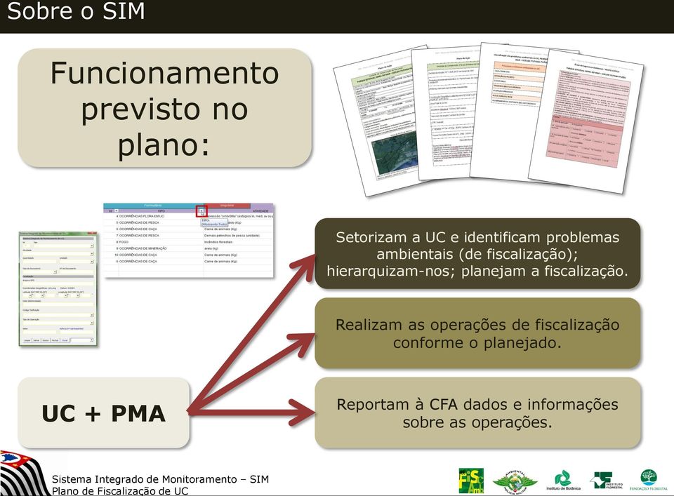 planejam a fiscalização.