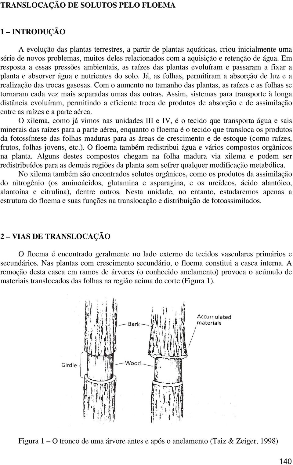 Já, as folhas, permitiram a absorção de luz e a realização das trocas gasosas. Com o aumento no tamanho das plantas, as raízes e as folhas se tornaram cada vez mais separadas umas das outras.