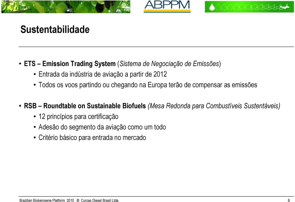 Sustainable Biofuels (Mesa Redonda para Combustíveis Sustentáveis) 12 princípios para certificação Adesão do segmento