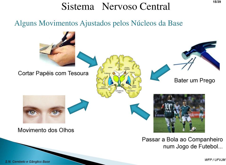 Tesoura Bater um Prego Movimento dos Olhos Passar a