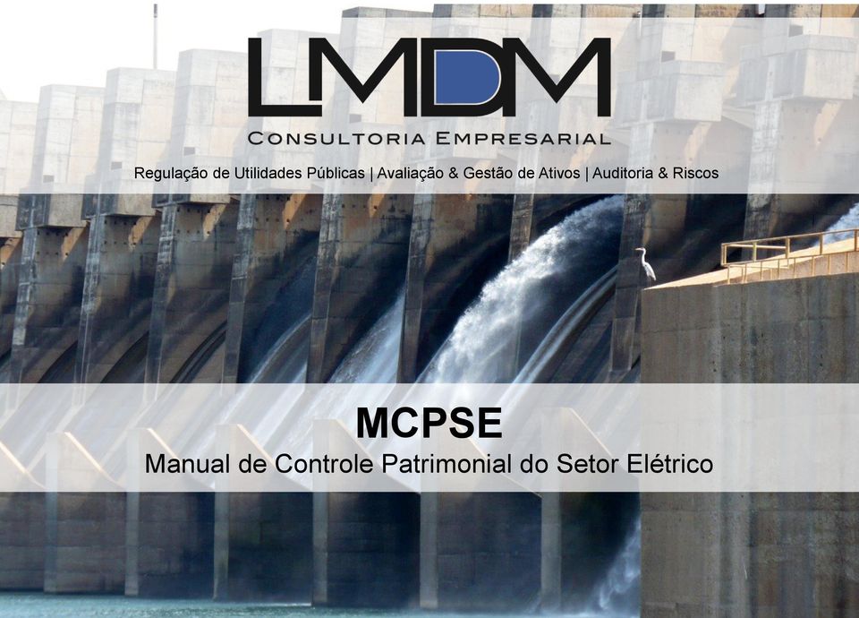 Auditoria & Riscos MCPSE Manual
