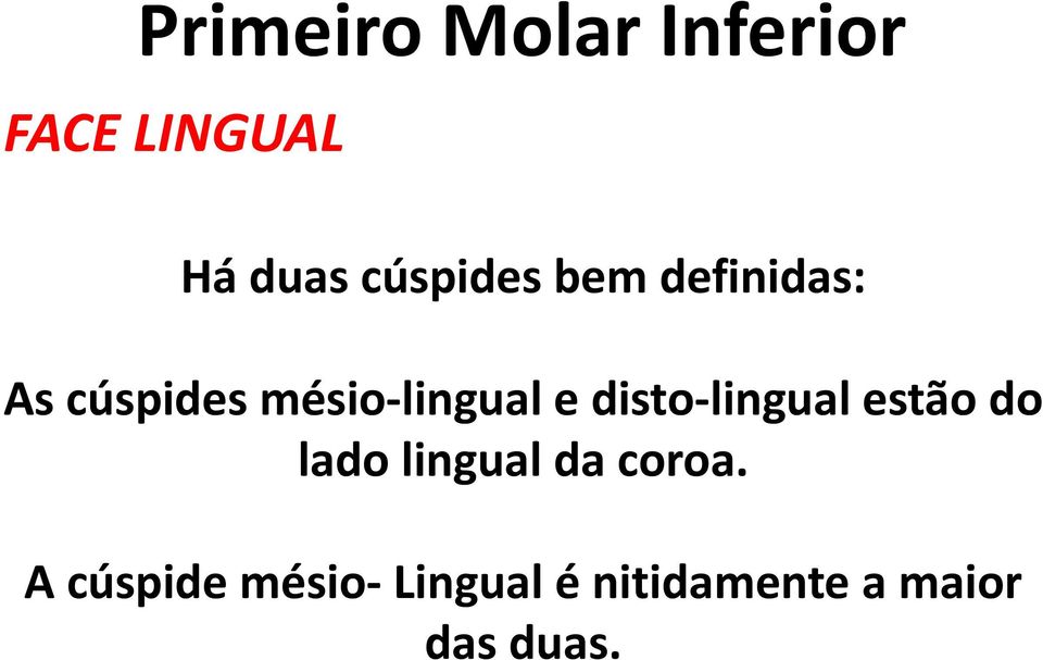 disto-lingual estão do lado lingual da