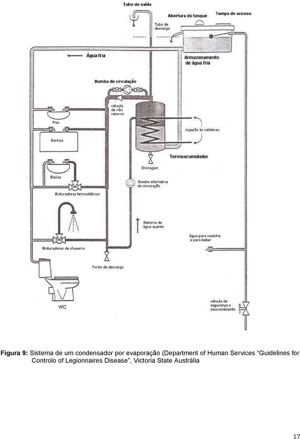 Services Guidelines for Controlo of