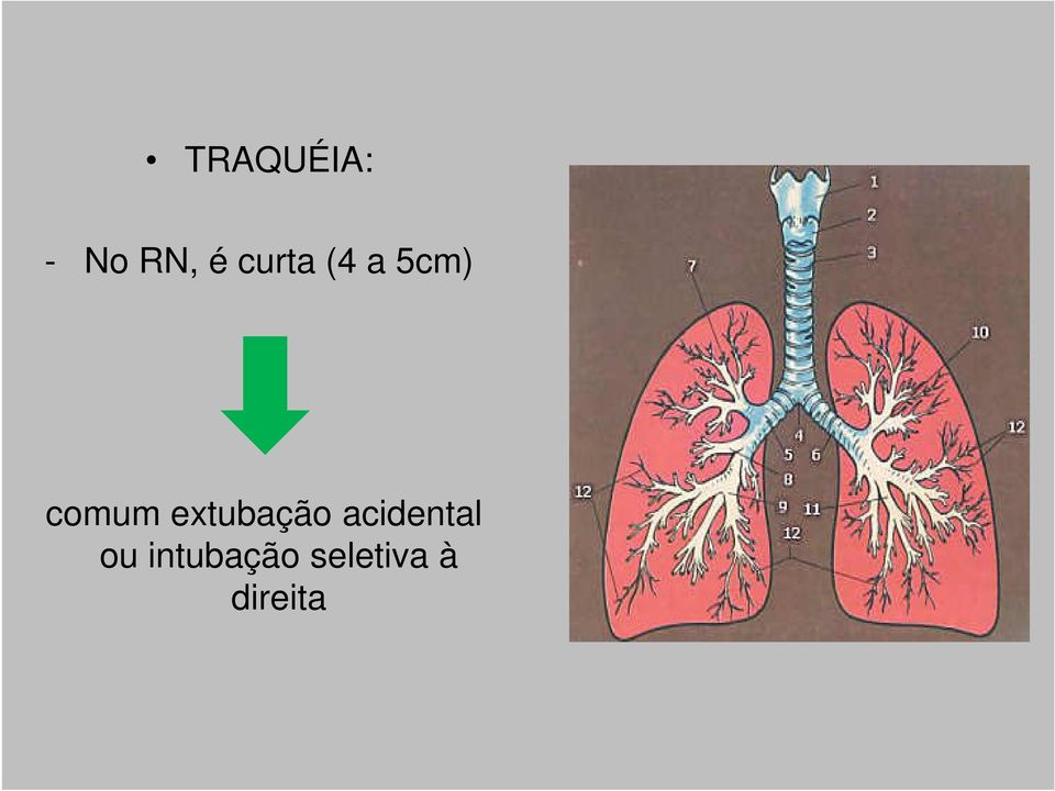 extubação acidental ou