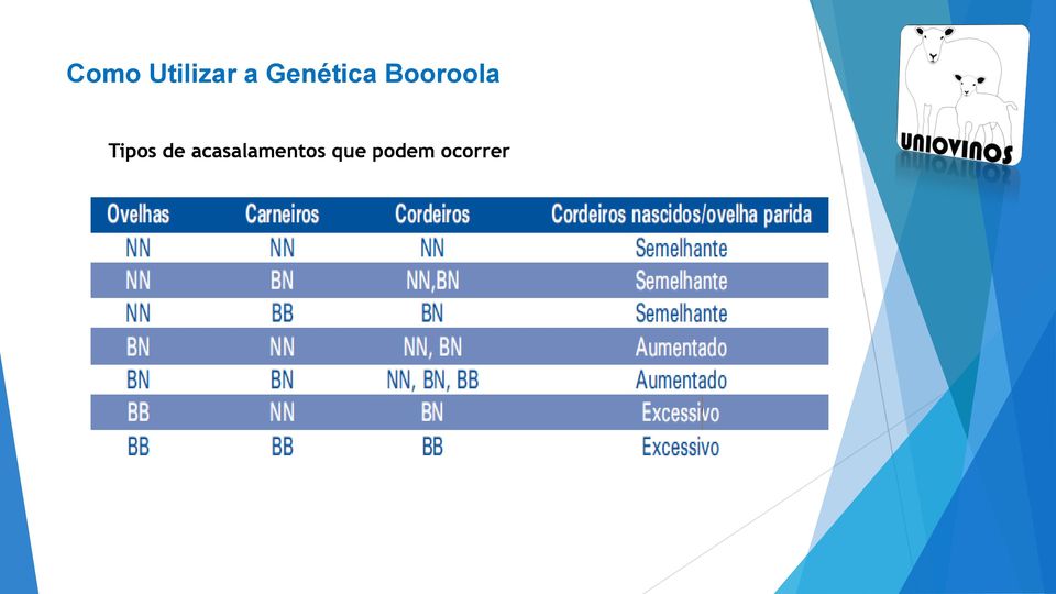 Tipos de