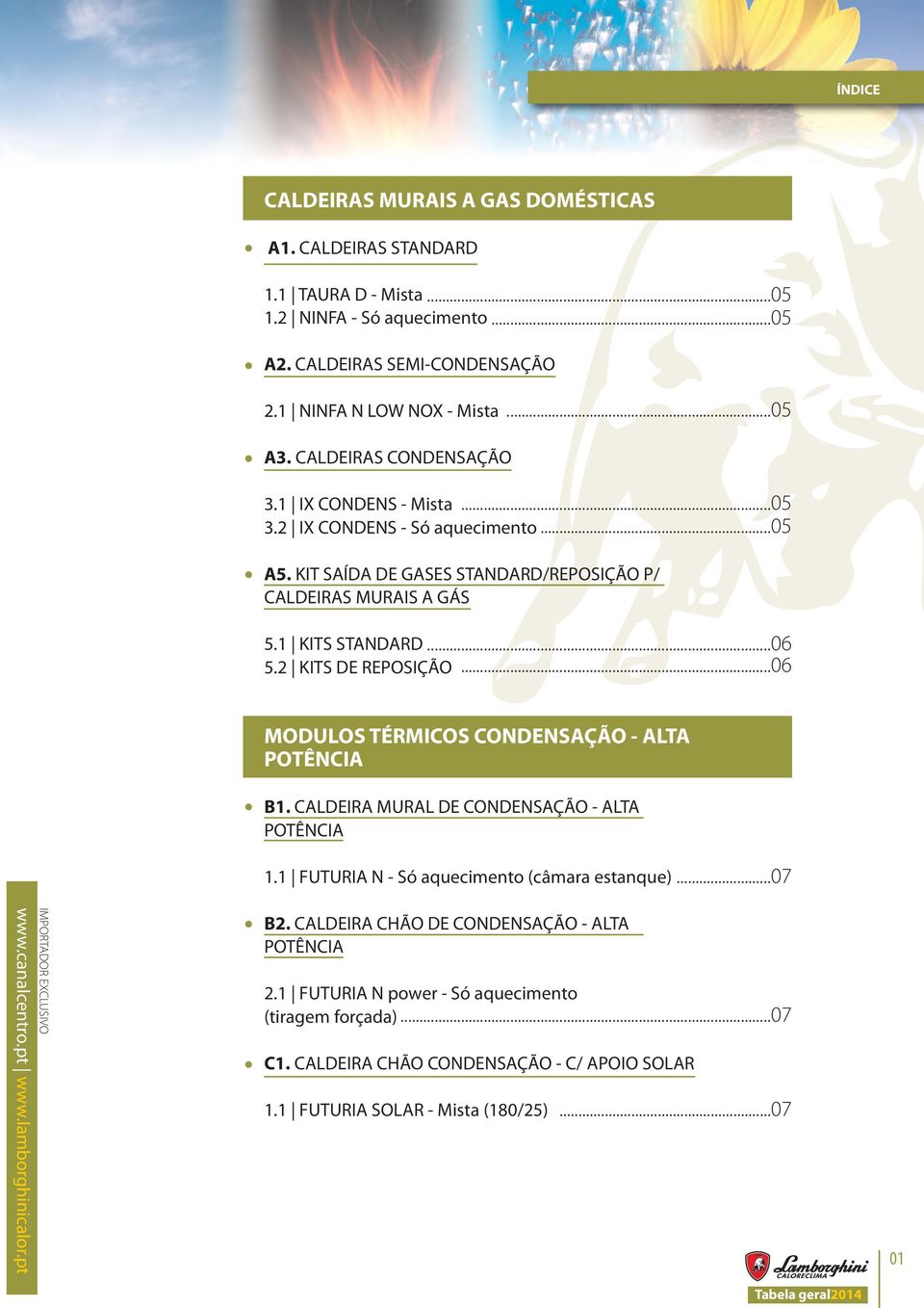 2 KITS DE REPOSIÇÃO...06 MODULOS TÉRMICOS CONDENSAÇÃO - ALTA POTÊNCIA B1. CALDEIRA MURAL DE CONDENSAÇÃO - ALTA POTÊNCIA 1.1 FUTURIA N - Só aquecimento (câmara estanque)...07 B2.