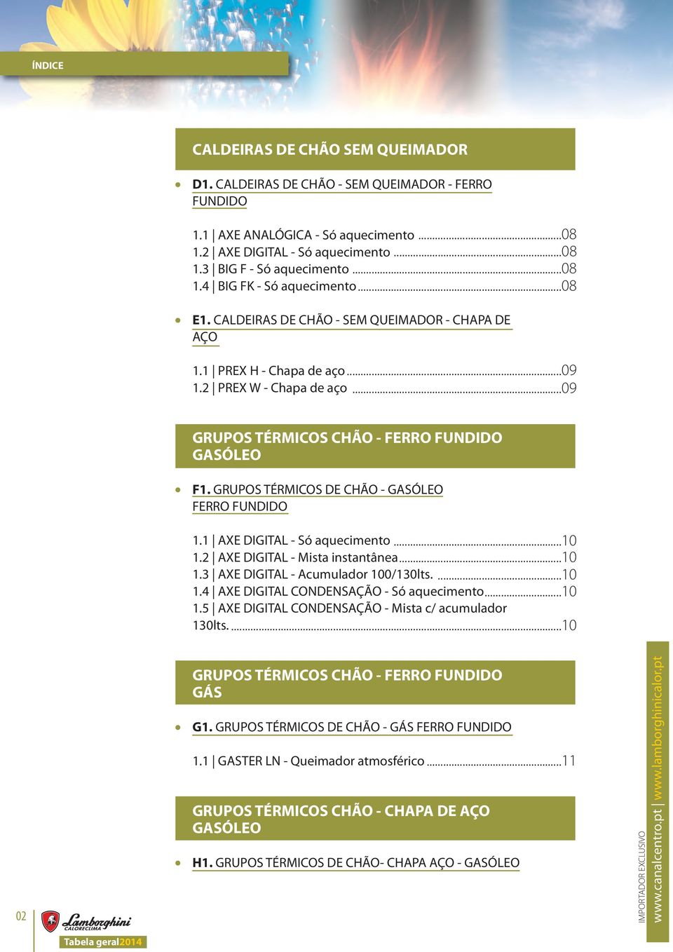 GRUPOS TÉRMICOS DE CHÃO - GASÓLEO FERRO FUNDIDO 1.1 AXE DIGITAL - Só aquecimento...10 1.2 AXE DIGITAL - Mista instantânea...10 1.3 AXE DIGITAL - Acumulador 100/130lts....10 1.4 AXE DIGITAL CONDENSAÇÃO - Só aquecimento.