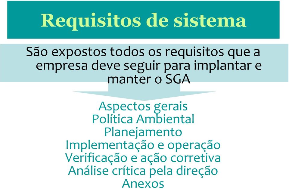 gerais Política Ambiental Planejamento Implementação e