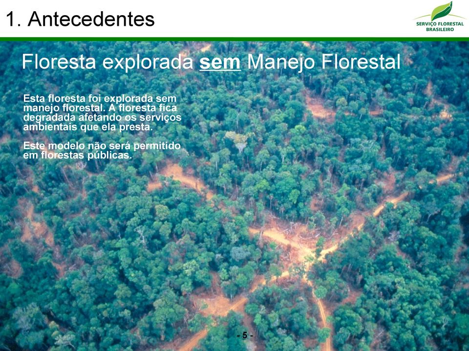 A floresta fica degradada afetando os serviços ambientais