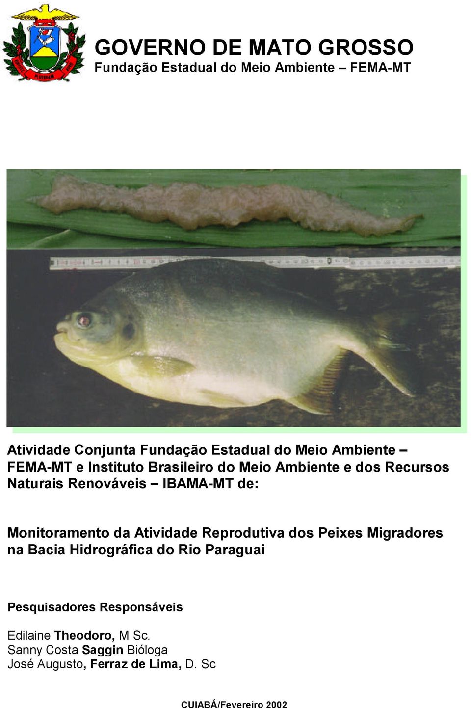 dos Peixes Migradores na Bacia Hidrográfica do Rio Paraguai Pesquisadores Responsáveis Edilaine