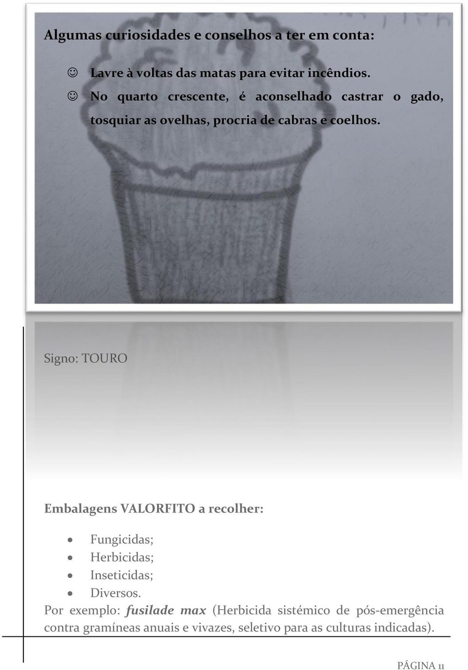 Signo: TOURO Embalagens VALORFITO a recolher: Fungicidas; Herbicidas; Inseticidas; Diversos.