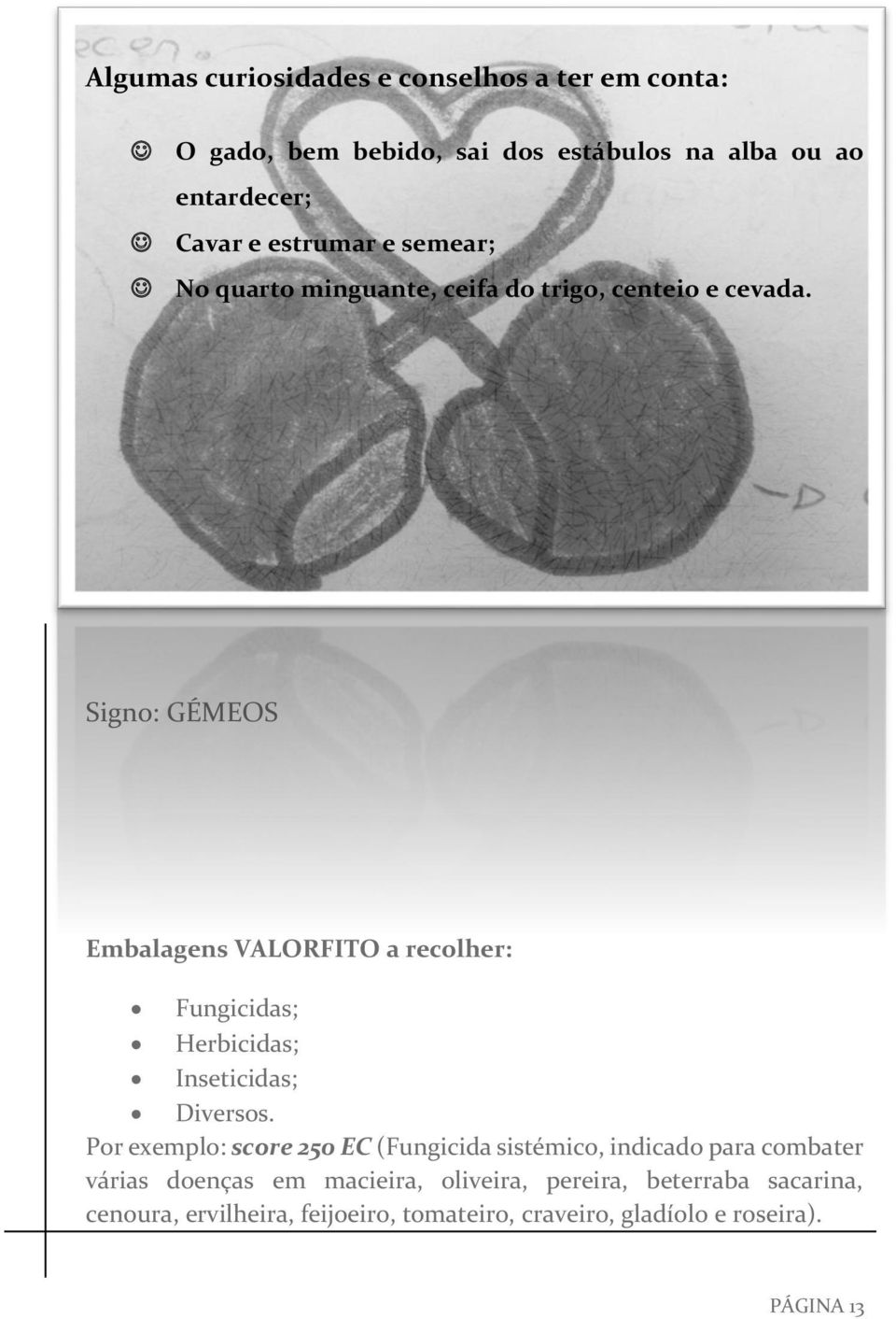 Signo: GÉMEOS Embalagens VALORFITO a recolher: Fungicidas; Herbicidas; Inseticidas; Diversos.