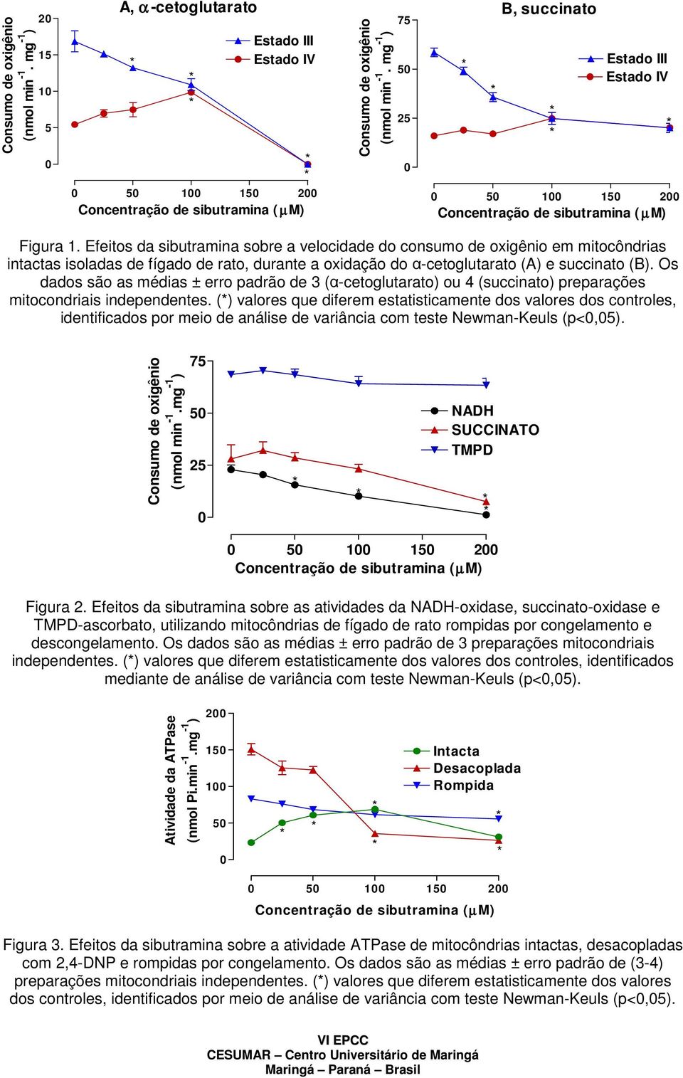Efeitos da sibutramina sobre a velocidade do consumo de oxigênio em mitocôndrias intactas isoladas de fígado de rato, durante a oxidação do α-cetoglutarato (A) e succinato (B).