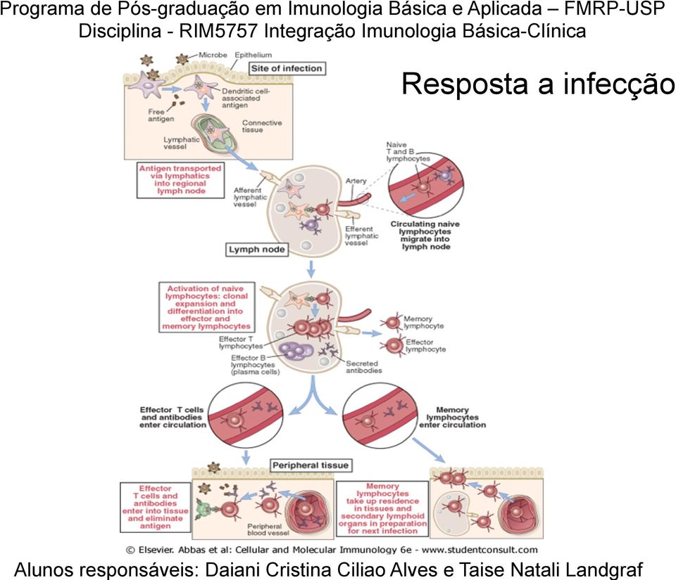 infecção