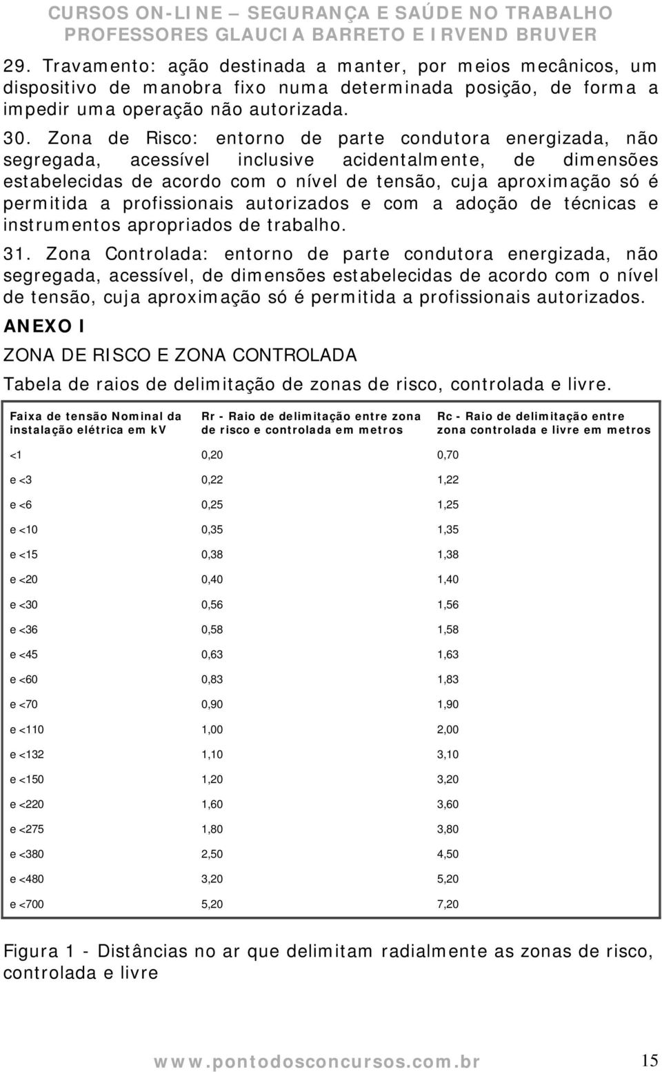 profissionais autorizados e com a adoção de técnicas e instrumentos apropriados de trabalho. 31.