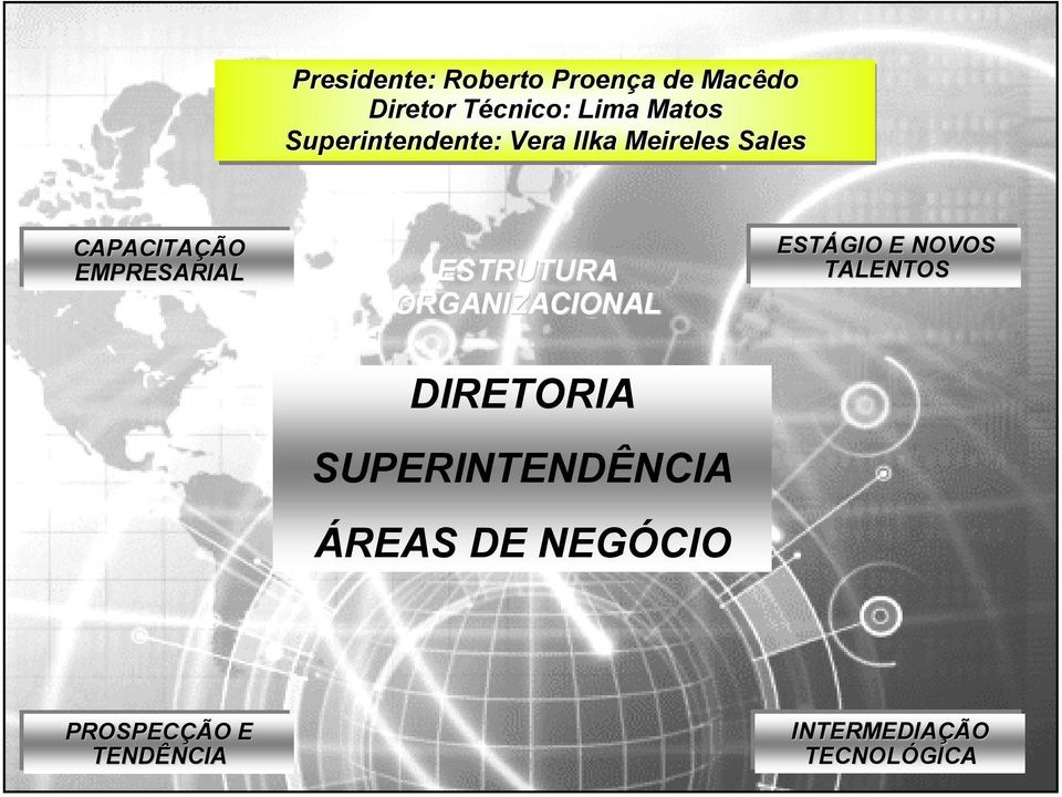 ESTRUTURA ORGANIZACIONAL DIRETORIA SUPERINTENDÊNCIA ÁREAS DE NEGÓCIO