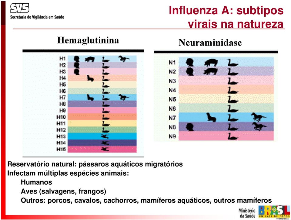 Infectam múltiplas espécies animais: Humanos Aves (salvagens,