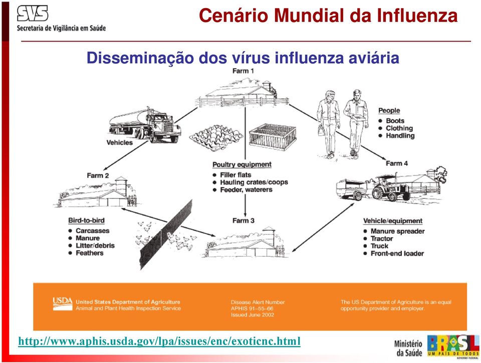 influenza aviária http://www.