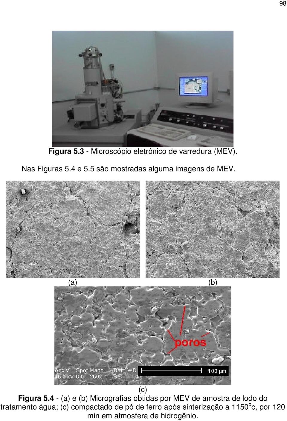 4 - (a) e (b) Micrografias obtidas por MEV de amostra de lodo do tratamento