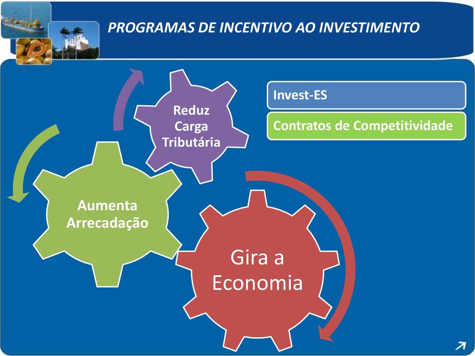 Tributária Invest-ES Contratos de